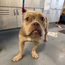 Thumbnail photo of Taylor Swift #3