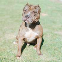 Thumbnail photo of Reputation #1