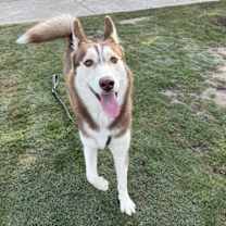 Thumbnail photo of Emily #3