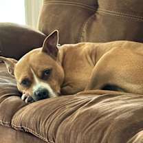 Thumbnail photo of Tharos #4