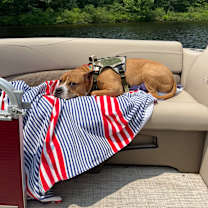 Thumbnail photo of Tharos #2