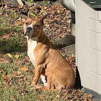 Thumbnail photo of Tharos #3