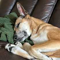 Thumbnail photo of Luna #4