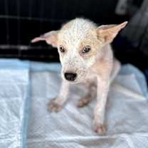 Thumbnail photo of Jack  #4