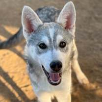 Thumbnail photo of Kimmie #1