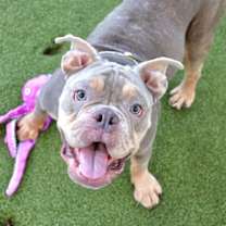 Thumbnail photo of Hank #3