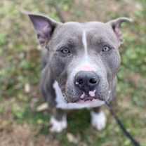 Thumbnail photo of Nike #3