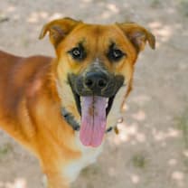 Thumbnail photo of Hinata #1