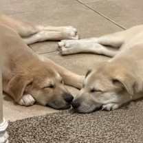 Thumbnail photo of Ernie #4