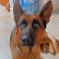 Thumbnail photo of Flexx #1