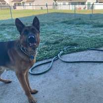 Thumbnail photo of Flexx #3