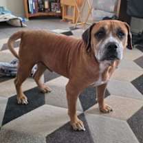 Thumbnail photo of Tillman #2