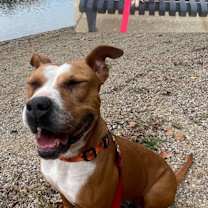 Thumbnail photo of Roxy #3