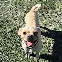 Thumbnail photo of Edgar #1