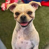 Thumbnail photo of Edgar #4