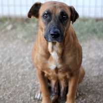 Thumbnail photo of Matilda #2