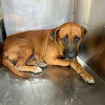 Thumbnail photo of Matilda #3