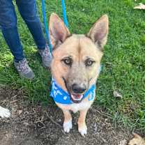 Thumbnail photo of Donny #1