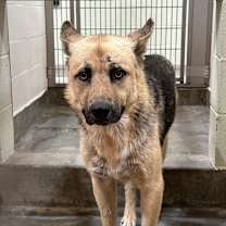 Thumbnail photo of Donny #2