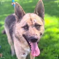 Thumbnail photo of Donny #3