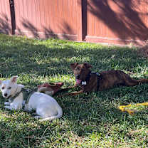 Thumbnail photo of Maddie #3