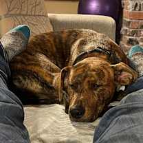 Thumbnail photo of Maddie #4