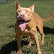 Thumbnail photo of Joseph #1