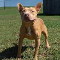 Thumbnail photo of Joseph #2