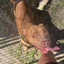 Thumbnail photo of Joseph #3