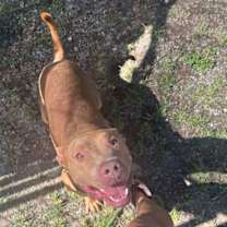 Thumbnail photo of Joseph #4