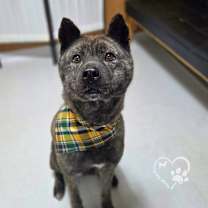 Thumbnail photo of Changhee #2