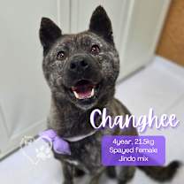 Thumbnail photo of Changhee #1