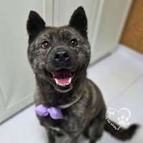 Thumbnail photo of Changhee #3