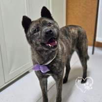 Thumbnail photo of Changhee #4