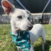 Thumbnail photo of Muneca #1