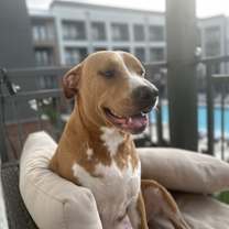 Thumbnail photo of Boone #3