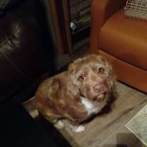 Thumbnail photo of Max #2