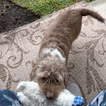 Thumbnail photo of Max #3