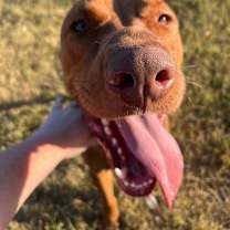 Thumbnail photo of Russell Shelley #4