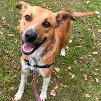 Thumbnail photo of Nelson #2