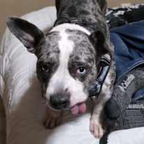 Thumbnail photo of Star #3