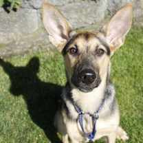 Thumbnail photo of Kayra #1