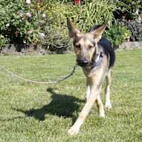 Thumbnail photo of Kayra #2