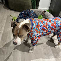 Thumbnail photo of Blue #2