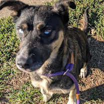 Thumbnail photo of River #3