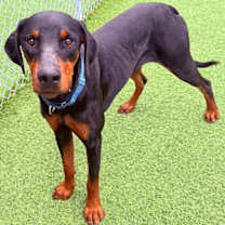 Thumbnail photo of Tank 3483 #1