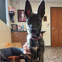 Thumbnail photo of Coraline #2