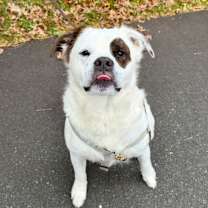 Thumbnail photo of Big Ben #1