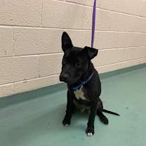 Thumbnail photo of Atlas #1