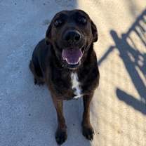 Thumbnail photo of Eva #4